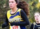 State cross country results