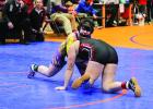 Bulldogs wrestling teams middle of the pack at Invite