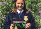 Leyton FFA Chapter year in review