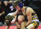 Three Bulldog grapplers bring home medals from state