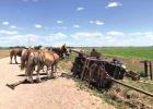 Chuck wagon and mule teams make their way through Morrill County