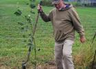 Fall ReTree Planting program brings more trees to Bridgeport
